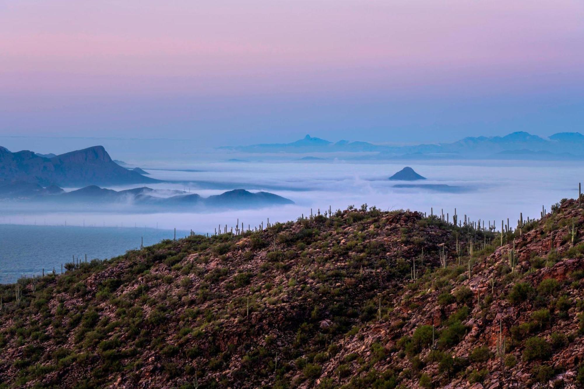The Ritz-Carlton, Dove Mountain Hotel Marana Buitenkant foto