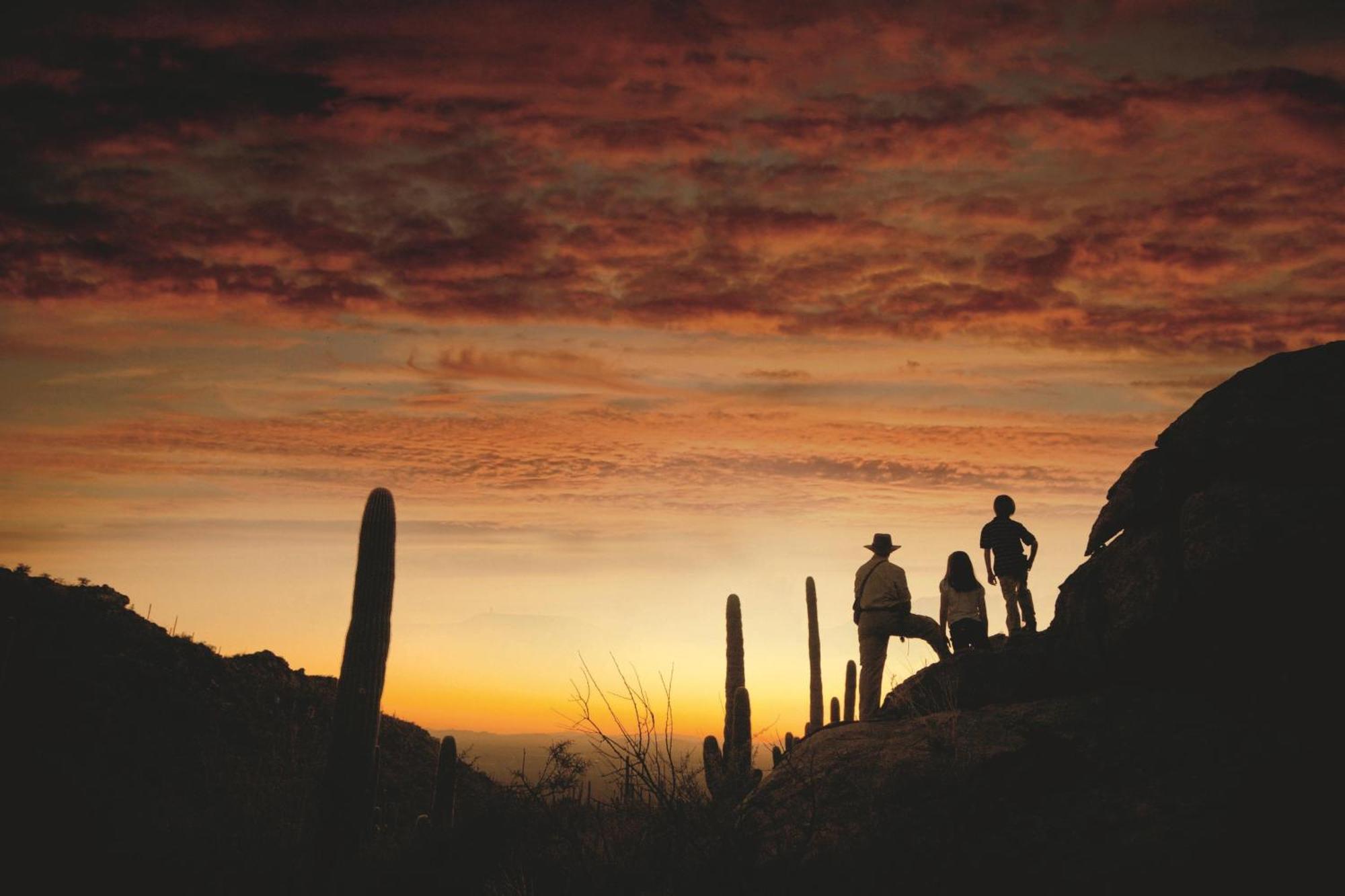 The Ritz-Carlton, Dove Mountain Hotel Marana Buitenkant foto