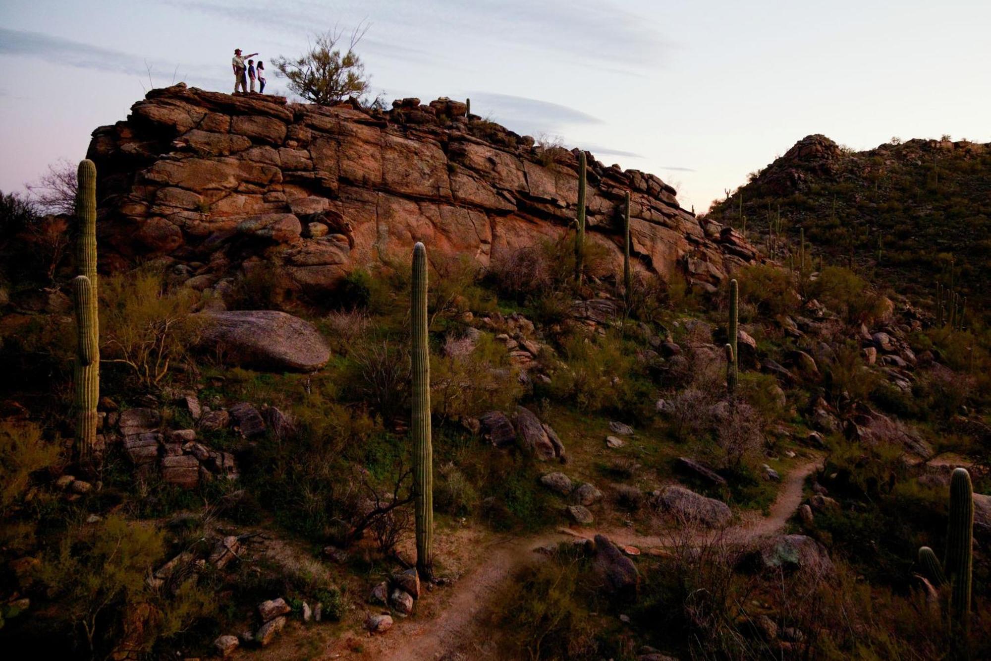 The Ritz-Carlton, Dove Mountain Hotel Marana Buitenkant foto